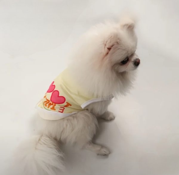 Summer Pet Clothing (ILU1) - Image 3