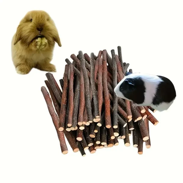 Wooden Apple Stick Chew Toys (AST1) - Image 2