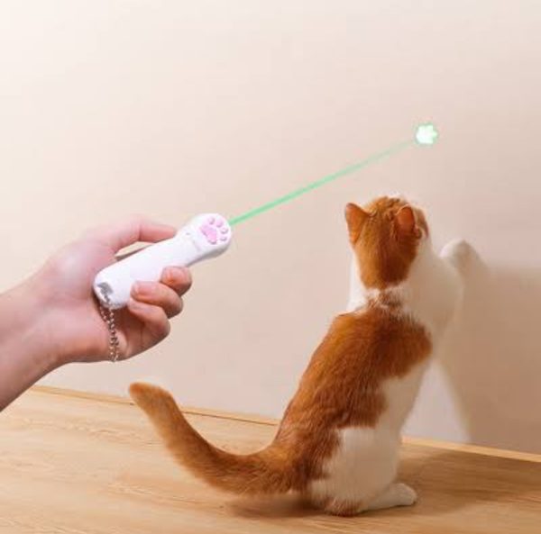 Interactive Cat Teaser Wand - Image 4