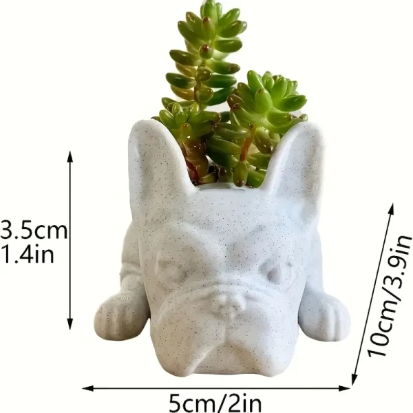 Small French Bulldog Plant Holder (FBP1) - Image 4